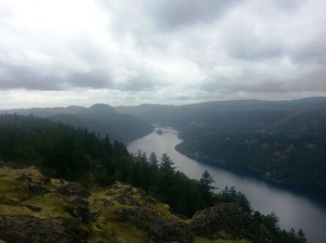 The view from the top of Jocelyn Hill