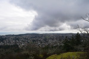 View from Mt. Doug