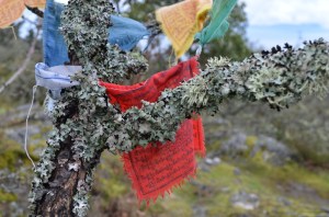 Prayer Flags