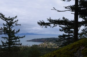 The view along Irvine Trail