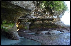 Owen Point Sea Caves
