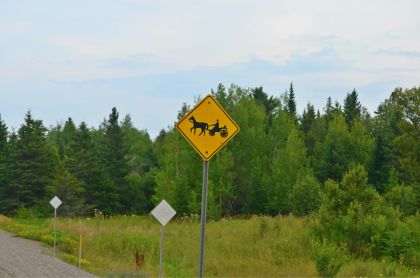 Warning - horse & buggies on the road